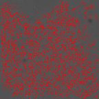 image 200