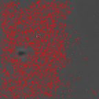 image 287