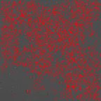 image 39