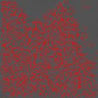 image 134