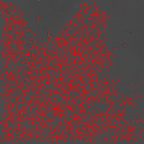 image 280