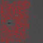 image 288