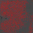 image 374