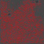 image 407