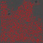 image 408