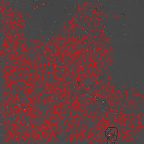 image 599