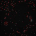 image 689