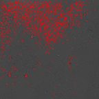 image 911