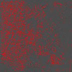 image 999