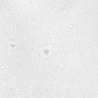 image 31