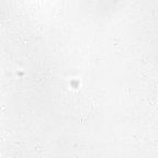 image 32